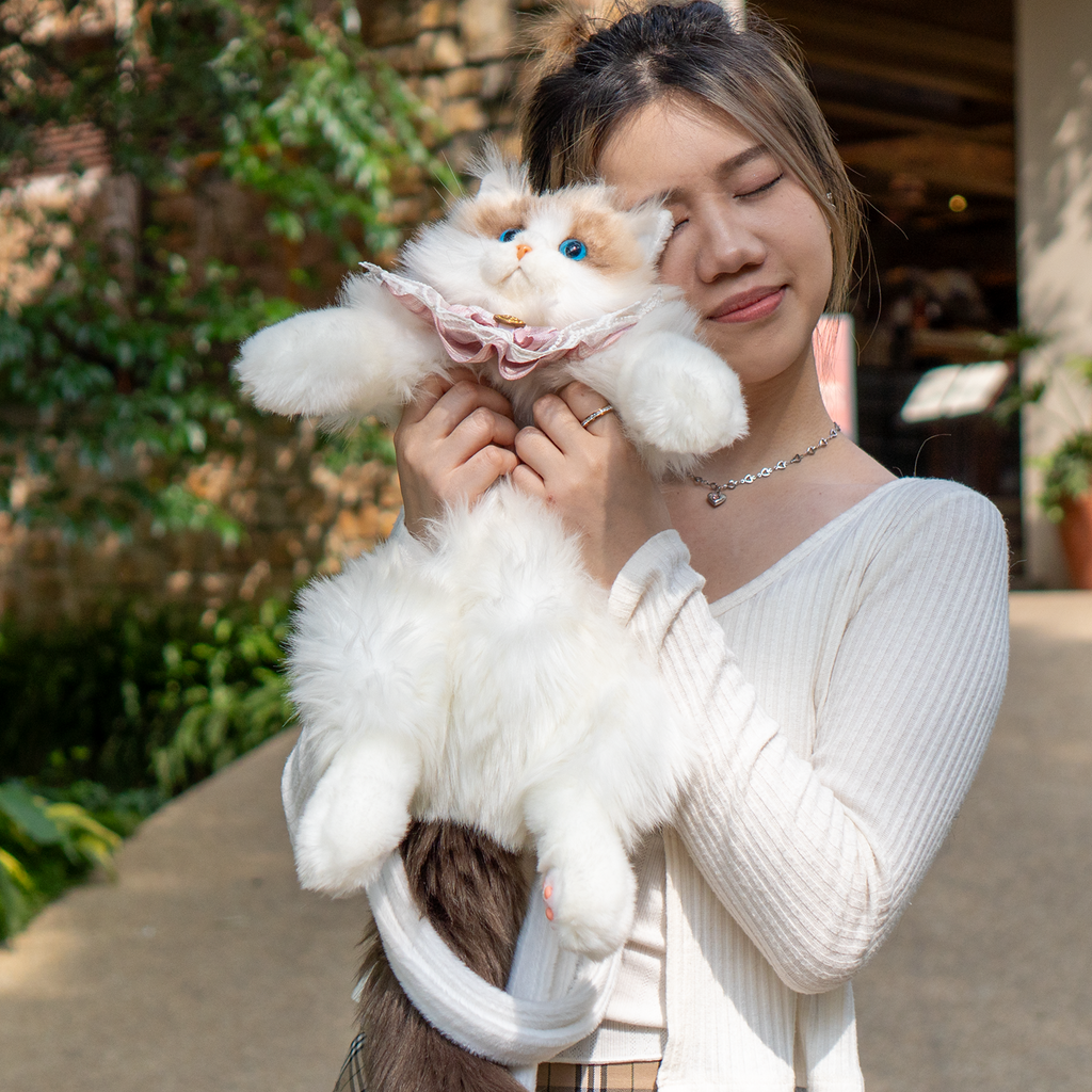 Ragdoll Cat Backpack