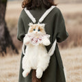 Ragdoll Cat Backpack